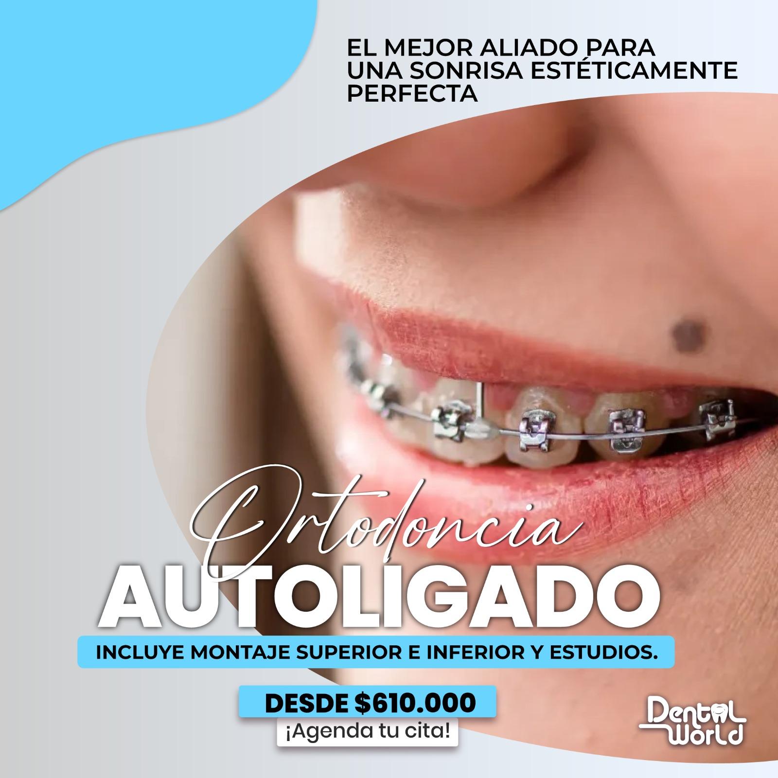 aca2535b-57f7-4f32-997c-01aaf8c7d5aa